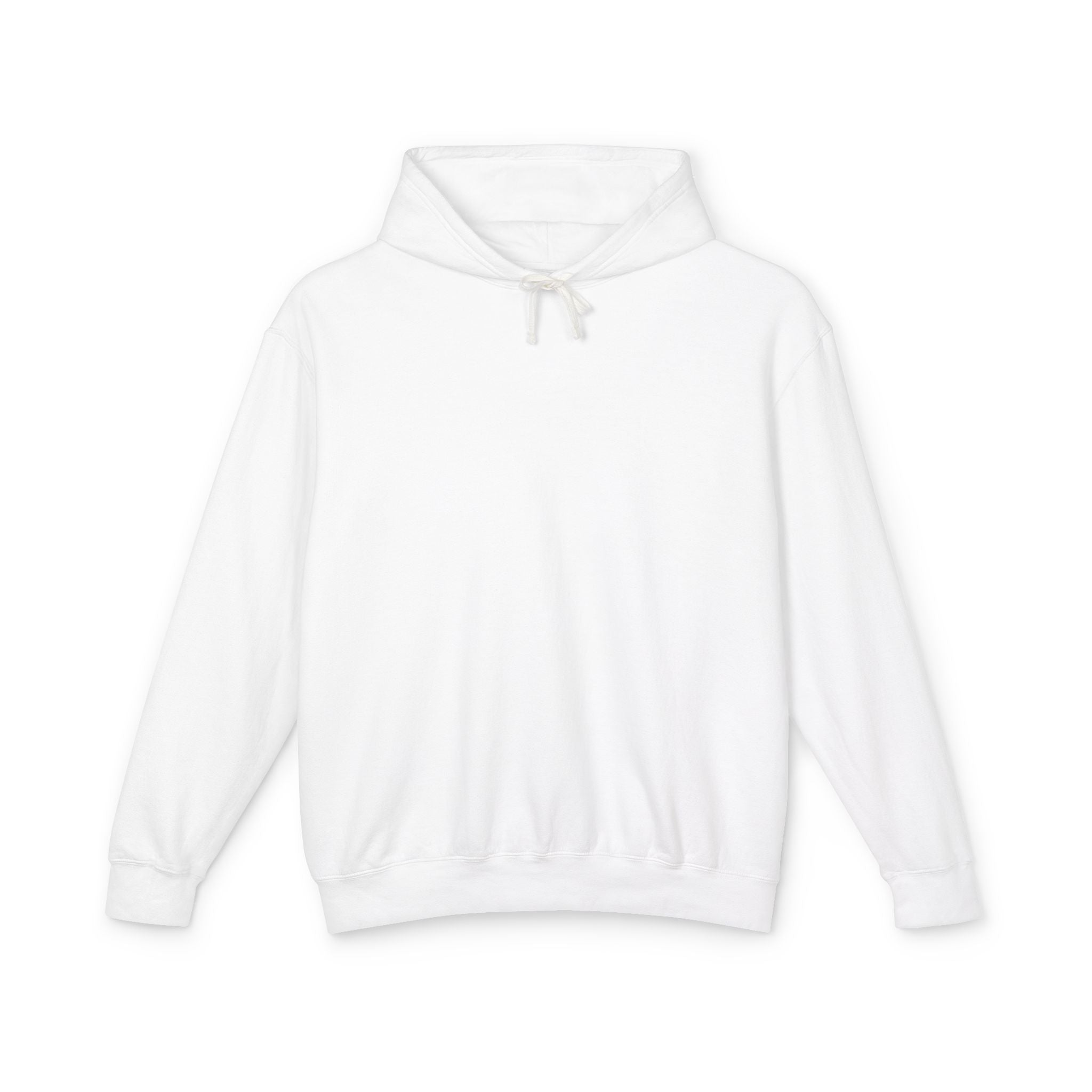 Wizard with Wolves Hoodie — Fantasy Mage Cloaked Ranger Sweatshirt